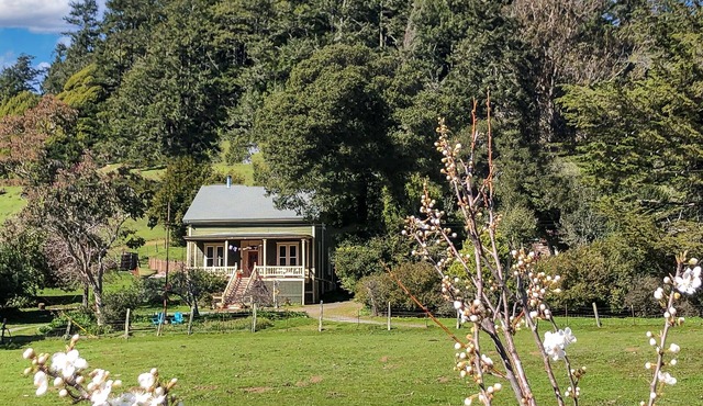Duncans Mills historic beauty with vast valley views & hot tub - pets ok!