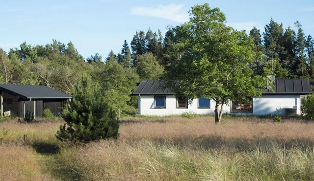 Dune house near Bulbjerg