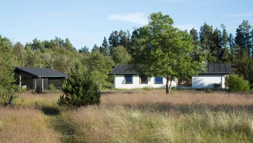 Dune House Near Bulbjerg