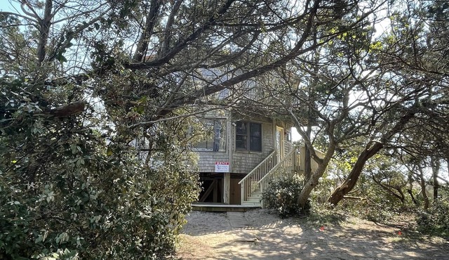 Dune Rose Oceanfront Home, Dog Friendly, Great Ocean Views!