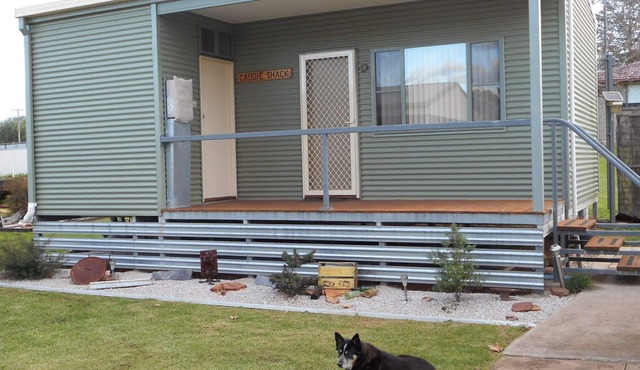 Dunedoo - Caddy Shack