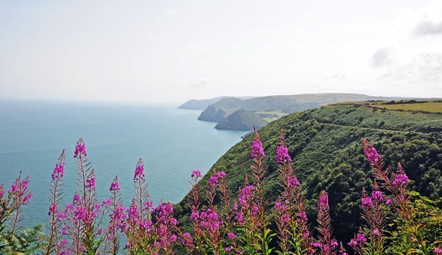 Dunkery Cottage is located in the heart of Exmoor National Park at Wheddon Cross. Dog friendly