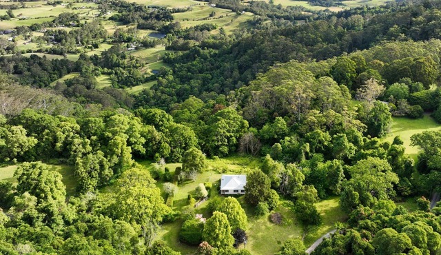 Dunrose Cottage - Mountain top cottage with amazing views!