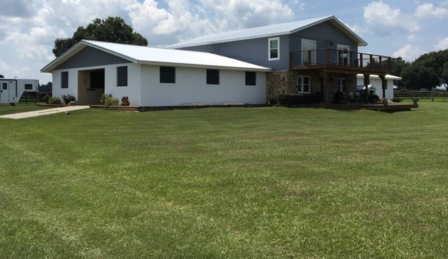 Dunwirkyn Farmhouse and Horse
