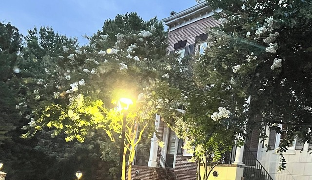 Dunwoody Dreamz…in Sandy Springs