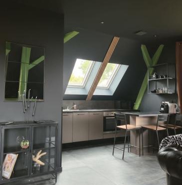 Duplex à Duppigheim proche aéroport