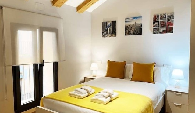 DUPLEX ÚNICO EN VALLADOLID EN PLENO CENTRO