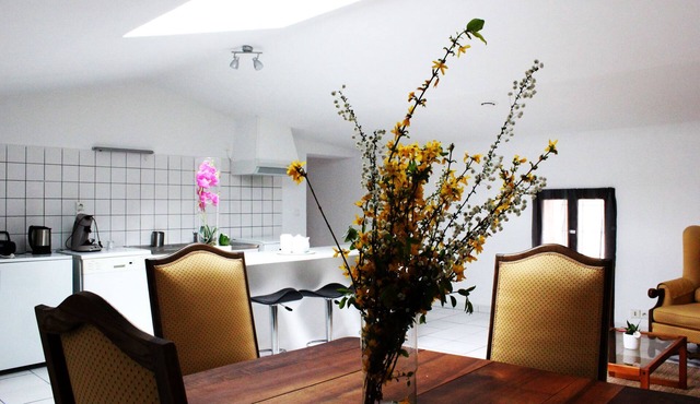 Duplex apartment in the heart of the Medoc in Margaux