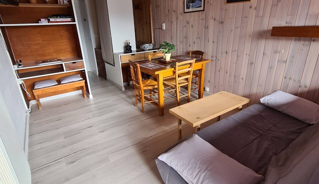 Duplex apartment 4/6 persons 40m2 murat le quaire