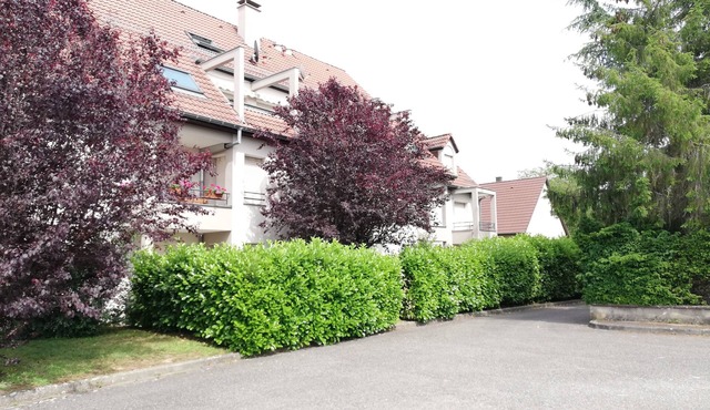Duplex apartment on the ground floor with terrace facing south