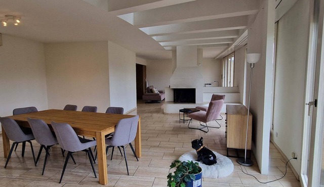 Duplex Apartment with Rooftop Sauna