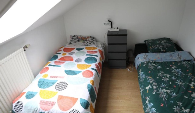 duplex appartement Lille 15