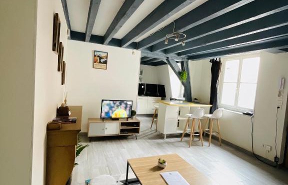 Duplex au cœur de Dijon