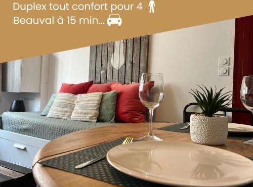 Duplex/Beauval & Châteaux