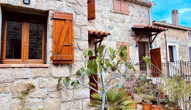 Duplex Belvédère-campomoro, vue mer