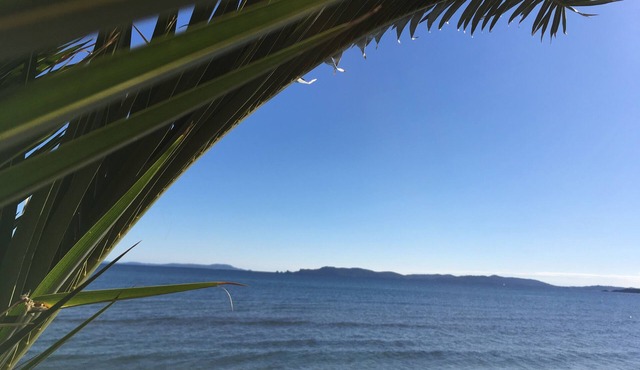 Duplex flat with garden view