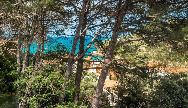 Duplex in Sa Riera with sea views