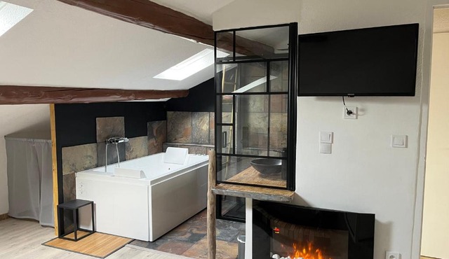 Duplex lumineux sur gde TERRASSE, BALNEO double, parking privé, CLIM, local vélos