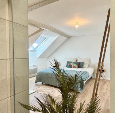 Duplex Mangrove