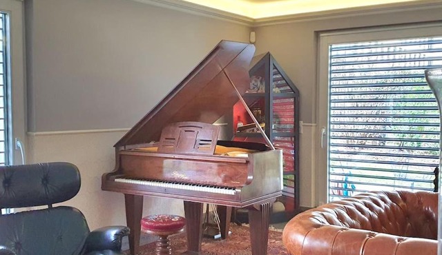 Duplex, piano, billard, ping-pong, jardin