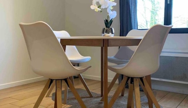 Duplex Proche Zénith, Mégacité, Stade de la Licorne, CHU