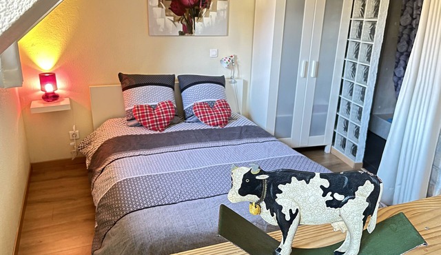 Duplex St Léon* located in Eguisheim with private parking and 10km from Colmar