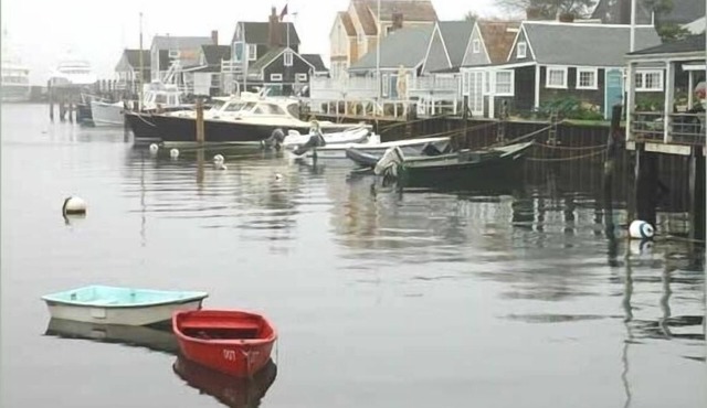 Duplex Sunny Condo in residential neighborhood, 5min walk to bike paths!