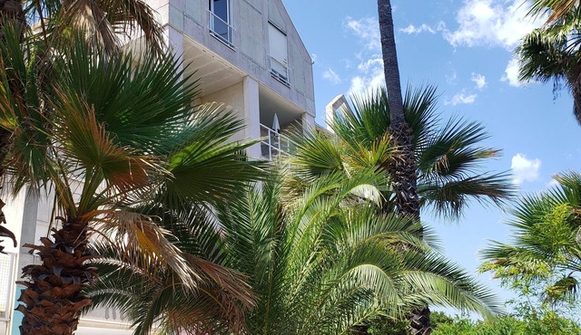 Duplex vue Mer, au Calme au Milieu D'un Jardin, à 150m de la Plage à Pieds