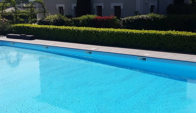 Duplex with garden and large swimming pool in Aix-Les-Bains(Tresserve).