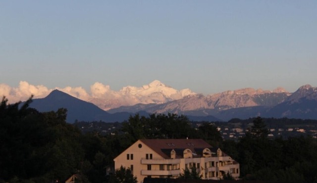 Duplex With Garden and Mt Blanc View