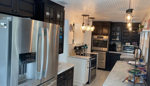 Dwntwn Ozona Bungalow! Dog friendly! 2 blocks to Pinellas Trail, brewery, eats!