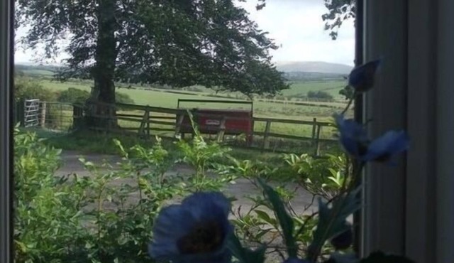 Dykefield Farm B&B