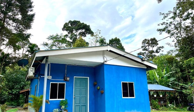 DZaf Homestay & Mini Chalet