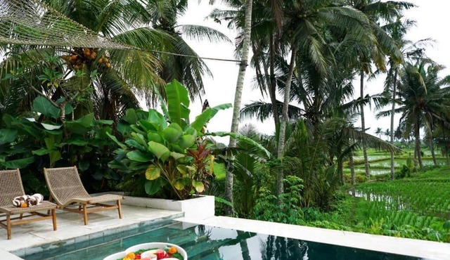 Dzen Greenfield Villa 9