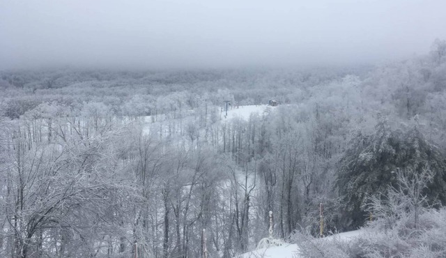 E205 Winterplace Condo Ski in Ski out 2nd Floor