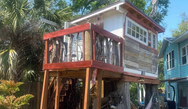 Eagle Eye Treehouse of Holly Hill-breathtaking views of bald eagles!