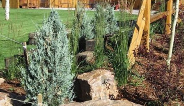 Eagle Fire Lodge & Cabins