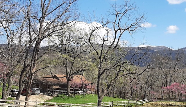 Eagle Log Cabin at Mountaintop Ranch bordering Shenandoah National Park