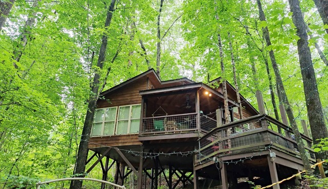 Eagle Treehouse: Hot Tub, Fireplace, and Outdoor Firepit!
