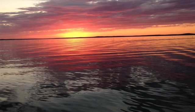 Eagle View Cabin @ Toledo Bend