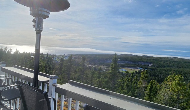 Eagles Cliffe Cottages - The Fitz Cottage