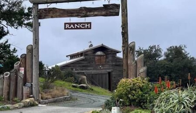 Eagles landing SLO
