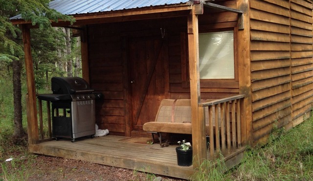 Eagles Nest Cabin In The Woods
