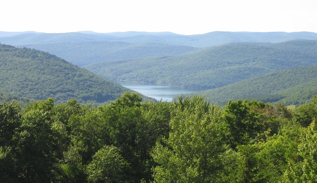 Eagles Nest*Cabin*Top of the World