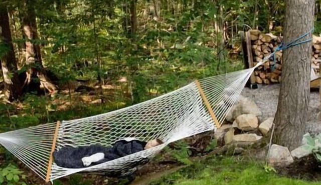 EARTH chalet in harmony with nature, Tremblant