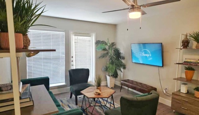 Earthy 3Bed 2Bath Apt at 5 min walk to NRG stadium