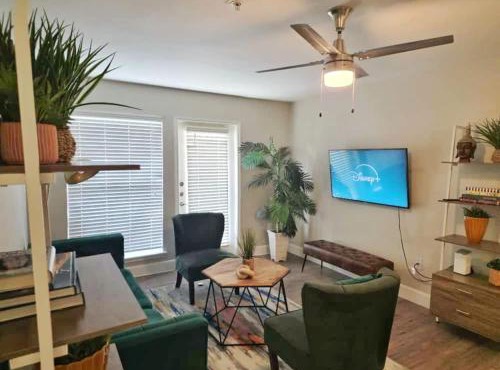Earthy 3Bed 2Bath Apt at 5 min walk to NRG stadium