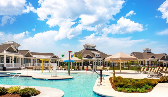 Ease Your Mind on Calm Water Drive