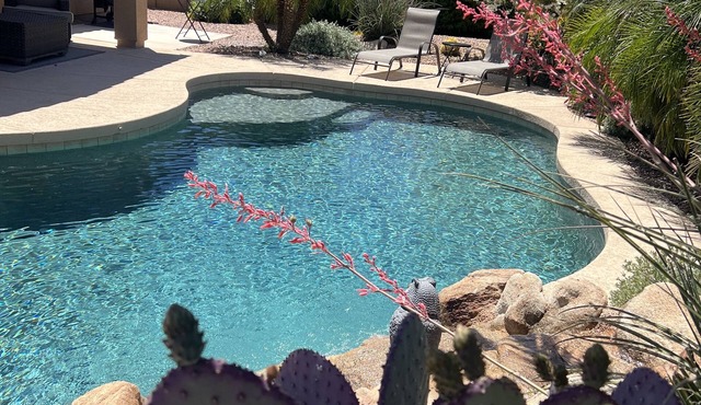 East Mesa Oasis with private Heated Pool-no extra charge!