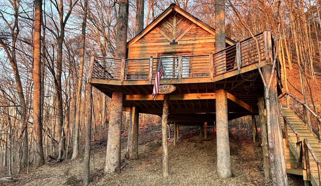 East Tennessee’s first TREEHOUSE! Come stay high in the trees.